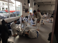 BJJ Super-Seminar