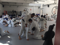 BJJ Super-Seminar